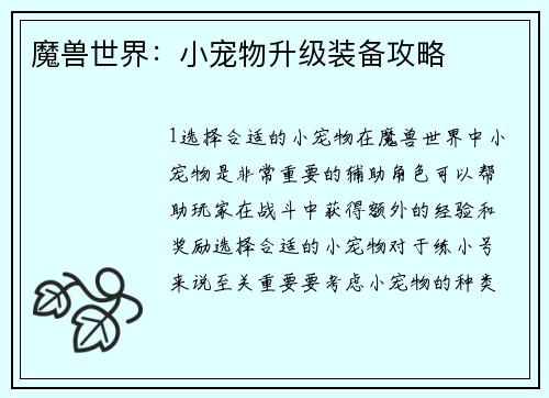 魔兽世界：小宠物升级装备攻略