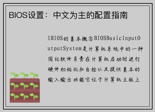 BIOS设置：中文为主的配置指南